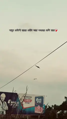 মানুষ সেটা'ই হারায় যেইটা তারা সবচেয়ে বেশি চায়!❤️‍🩹#caption #newcaption #status #vairal #foryou #vairalvideo #fyppppppppppppppppppppppp 