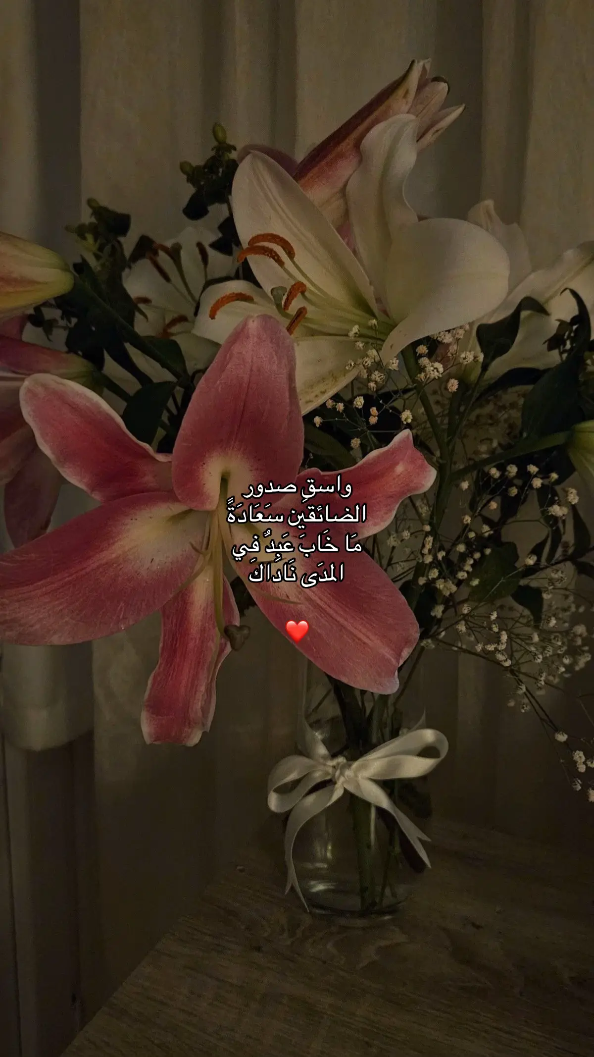 #الحمدلله_دائماً_وابداً❤️ #fyp #اللهم_انك_عفو_تحب_العفو_فاعف_عنا #foryou #اشهد_ان_لا_اله_الا_الله #صدقه_جاريه_لفقيدي #الحمدالله_علی_کل_حال❤ #استغفرالله #اكسبلور #اجر #صدقه_جاريه_لجميع_اموات_المسلمين 