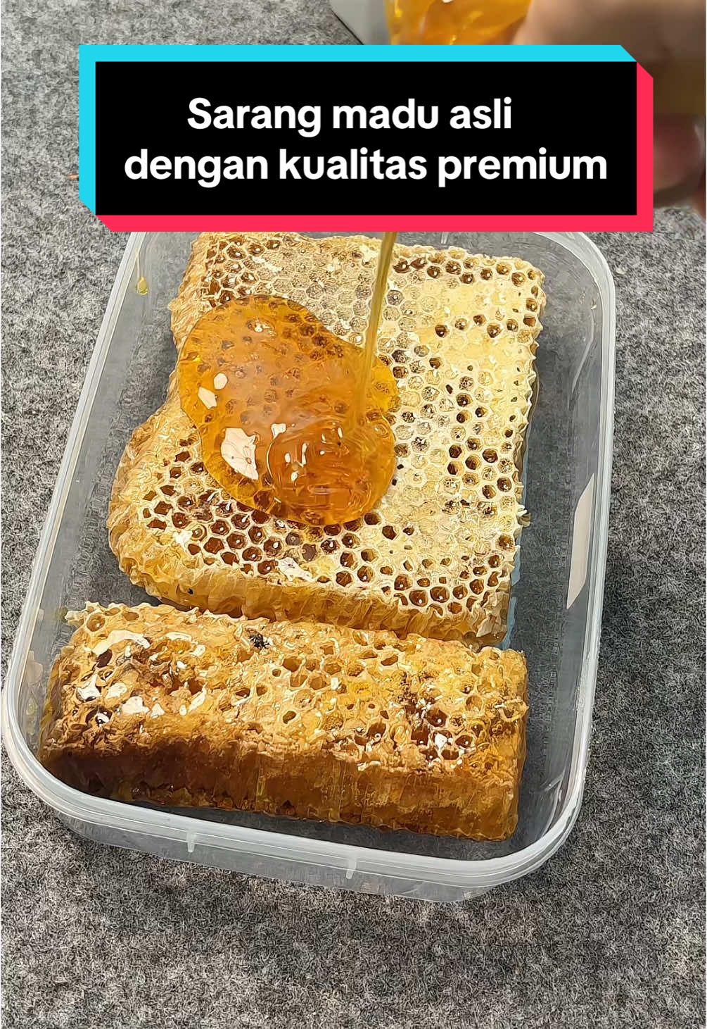 sarang madu asli dengan kualitas premium #sarangmadu #madusarang #madusaranglebah #madumurni #madumurniasli 