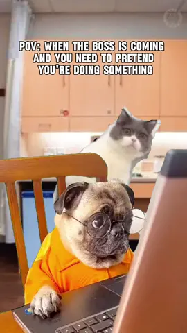 #Meme #MemeCut #workweek #funnyvideos #medicalassistantlife 