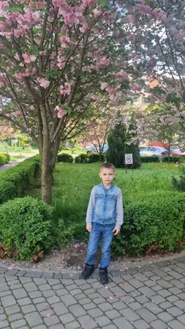 😃🌷🌲🌿