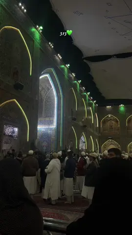 #ziyarah #ziyarat #karbala #kerbala #yaali #yaaliع #yaallah #imamali #imamhussain #yaabbas #imamaliع #shiaofali #amiralmuminin #313 #shia #iraq #irak #foryou #alhamdulillah 
