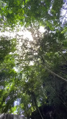 Marilah berkunjung ke air terjun ai moun ni ohoi soinrat kei besar Maluku 😁🤙💦⛰️#fyp 
