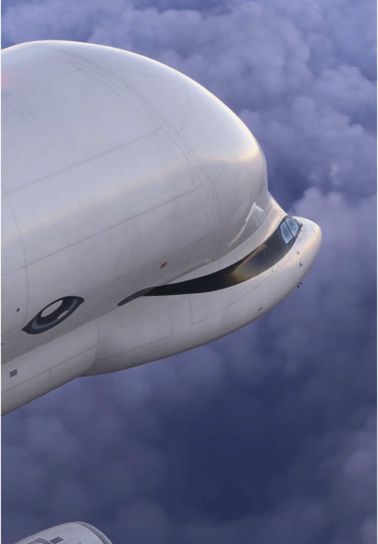 Airbus Beluga in flight #aviation #fly #flight #beluga #trend #fyp #viral #tiktok