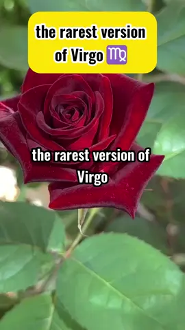 #zodiac #astrology #fyp #virgo 