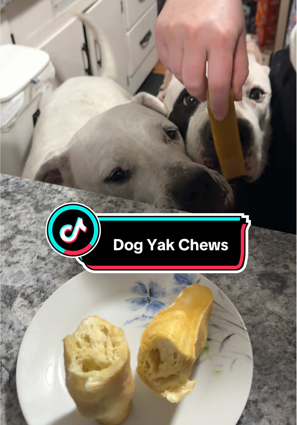 Only 3 ingredients! These natural yak cheese chews keep my dog happy and busy. #YakChew #NaturalDogTreats #DogChew #LongLastingDogChew #LimitedIngredient #DogTok #TikTokShopFinds #HappyDog #MustHave #treasurefinds #spotlightfinds #ttsdelight #giftguide #ttsdelightnow #tiktokshopcreatorpicks #ttslevelup#tiktokshoprestock #tiktokshopspringglowup #springtok #tiktokshopmothersday #tiktokshopmemorialday