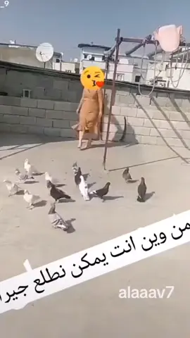 #في هذا اليوم 