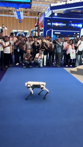 Jumping Robot!  #robot #cantonfair #jump #hightech 