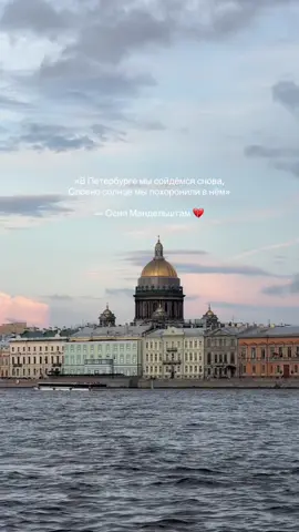 город, где все стихи оживают 💔 тгк о литературе: дурно пахнут мертвые слова #мандельштам #петербург 