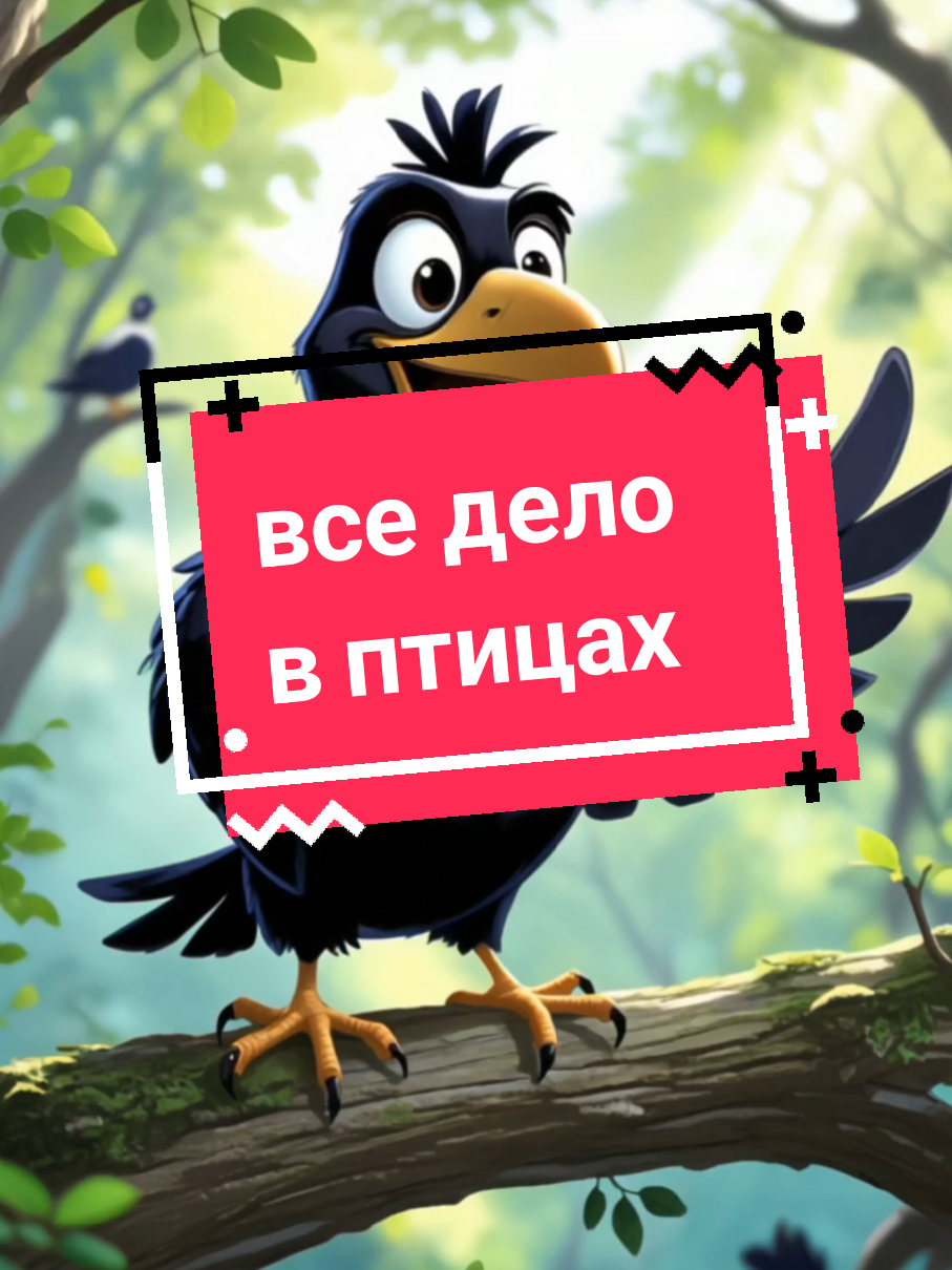 #птицы 