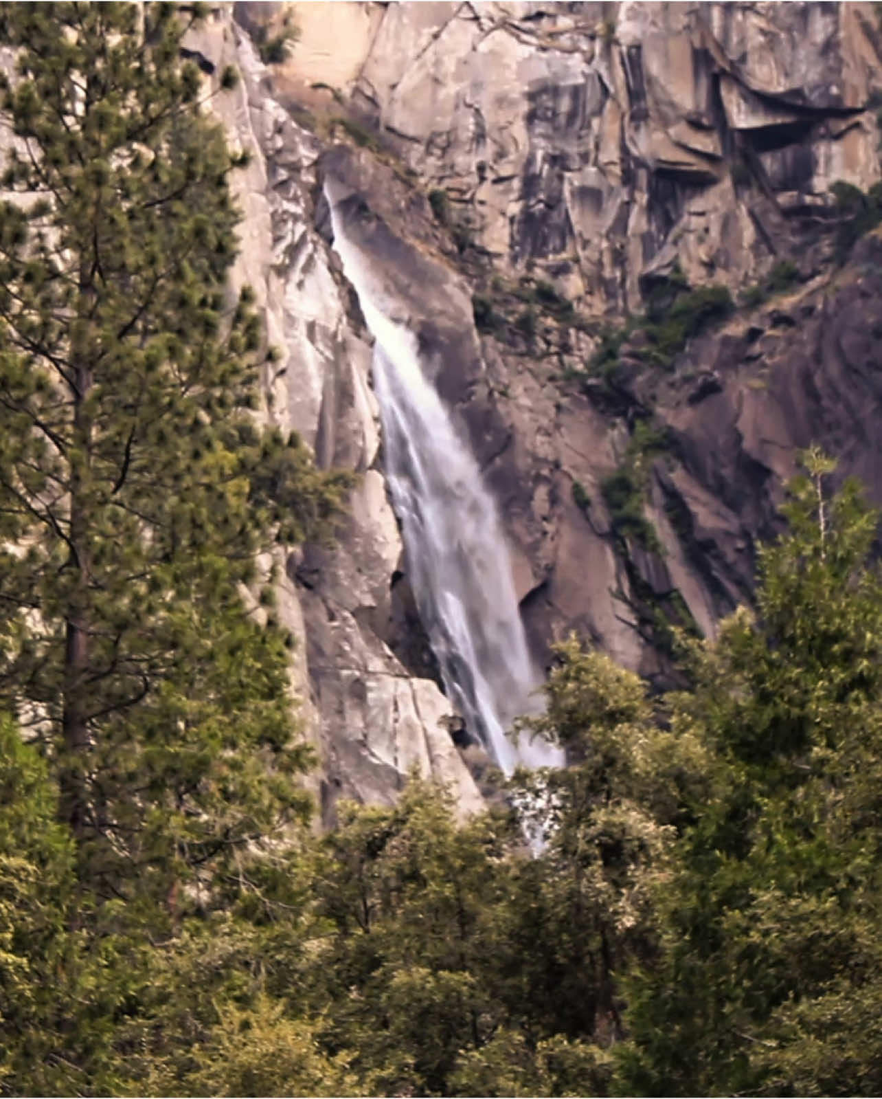 #fyp #photography #fypシ゚viral #cinematography #nationalparks #videography #Summer 