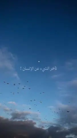 #اللهم_اني_وكلتك_امري_فأنت_خير_وكيل🤲 