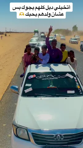 #حلبشن @هواري العز1️⃣1️⃣1️⃣ 