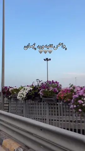 أجاني ولون أيامي #pov #تصويري #الرمادي #الفلوجه #الفلوجه #اكسبلورexplore #الشعب_الصيني_ماله_حل😂😂 