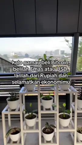 Lari dari inflasi 🏃💸📈 #fyp #inflasi #rupiah #bitcoin #gold #usd 