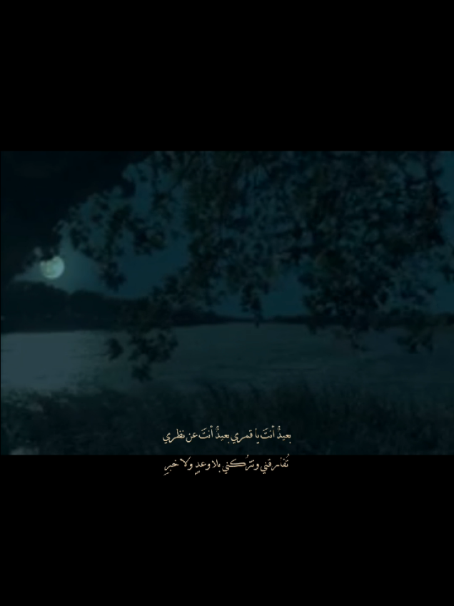 بعيدٌ أنتَ يا قمري بعيدٌ أنتَ  عن نظري تُفارقني وتترُكني  #صابر_الصفح #اكسبلورexplore #typ #فصيح #اغاني_مسرعه💥 #اغاني_عربيه 