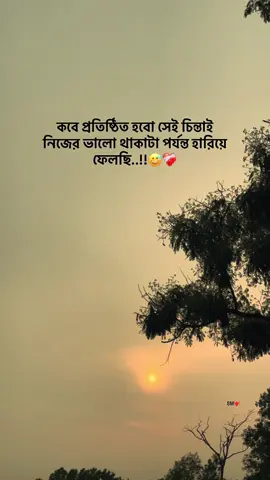 কবে প্রতিষ্ঠিত হবো সেই চিন্তাই  নিজের ভালো থাকাটা পর্যন্ত হারিয়ে  ফেলছি..!!😅❤️‍🩹 .. .. .. #sad #tiktok #trending #foryou #foryoupage #fyp #story #tiktokbangladesh 