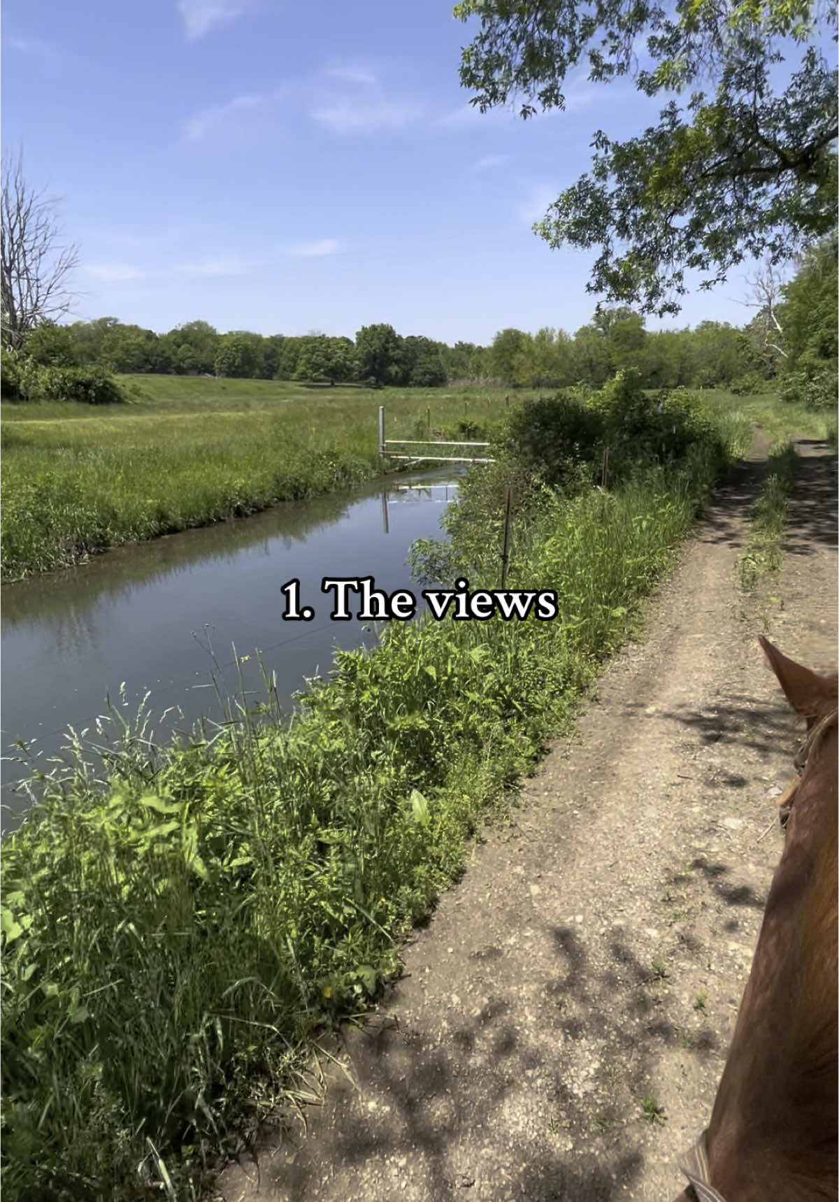 Cedar Creek Ranch offers plenty of activities for all ages. Check out our website at www.ccrstables.com to see everything we offer! #horsebackriding #trailridinginillinois #cedarcreekranch #horses #horse #trailriding #pettingzoo #illinoisvacation #goatyoga #babygoats #illinoishorsetrailriding 