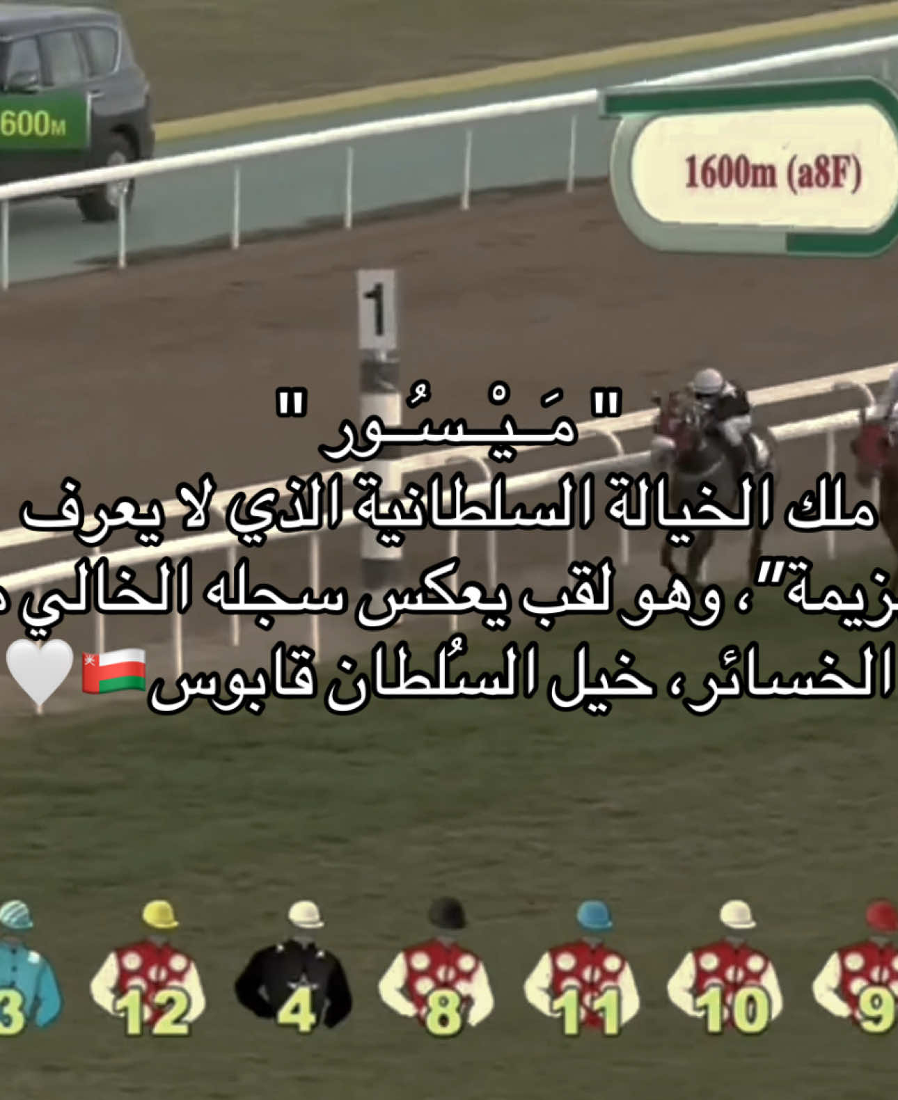 #CapCut #horseracing #arabianhorse #sultanqaboos 