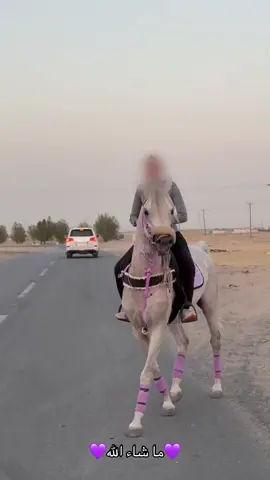 💜#ماشاءالله #ماشاءالله_تبارك_الله #خيل_وخياله🐎 #خيل #explore #viral #viralvideo #اكسبلور #اكسبلورexplore #pov #اكسبلورexplore #pov #حصان 