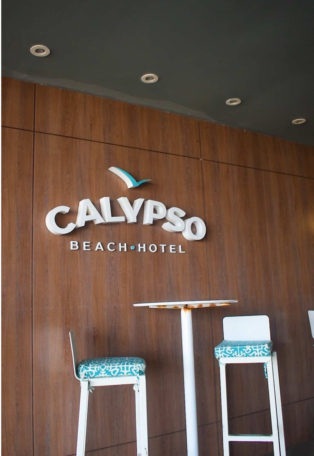 🌅 Hotel Calypso Beach – Tu ventana al mar de los 7 colores 🏝️✨ Despierta frente al paraíso en el Hotel Calypso Beach, ubicado justo frente a la playa principal de San Andrés. Vive una experiencia llena de comodidad, buena vibra y paisajes de ensueño 🌊💙 🏨 Habitaciones con vista al mar, 🍽️ Un restaurante cómodo y familiar para saborear lo mejor del Caribe, 🏊‍♂️ Y lo mejor… una espectacular piscina en el último piso, con una vista panorámica que te dejará sin aliento. 📍 Lujo, ubicación y ese toque isleño que te hará volver. Reserva ya al 320 3793759 y vive San Andrés desde lo más alto. ☀️🌴 #sanandresislas #hoteles #calypso #grupowelcome #hotelsolcaribe #reelsfypシ 