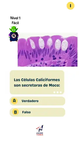 #quiz #estudiarhistologia #aprendermedicina #histologiafacil #celulas #biologia #estudiantedebiomedicina #estudiantedemedicina #estudiarmedicina #histologia #epitelio 