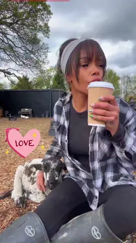 @Swearing Shepherdess @My Pets Palace #mypetsplace #mypetsplace #mypetsplace #mypetsplace #mypetsplace #mypetsplace 