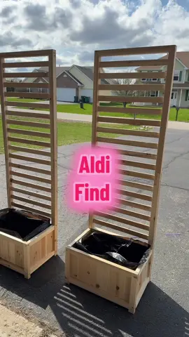 @ALDI USA They did it again! Now I can’t decide if I want these in my garden or to be pretty on my deck with flowers 🤭 