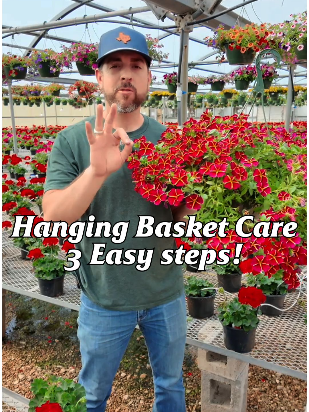 Hanging basket looking tired? Water it, feed it, and give it a little trim. Just like that, it’s back to thriving. 🪴💧✂️ #smithsgardentown #planttok #hangingbasketcare #planttips #springplants