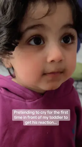 Toddlers are human version of cats #zoraizmustehsan #zoraizandmama #trendinginlondon #zoraizfam #Biscoitocut #easter2025 
