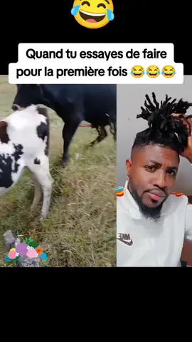 Cet animal essaie de croiser sa femelle mais finit par tomber dans le ravin 😂 #viral #video #tiktok #flyp #foryou #animal #croise #foryoupage 