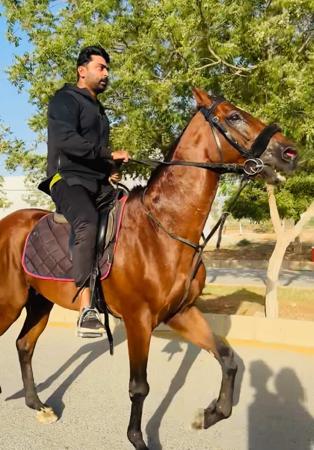 #tiktokpakistan #trending #fyp #farmlife #thoroughbred 