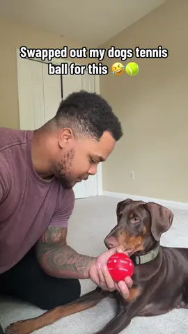 Can’t tell if they love it or hate it🤣