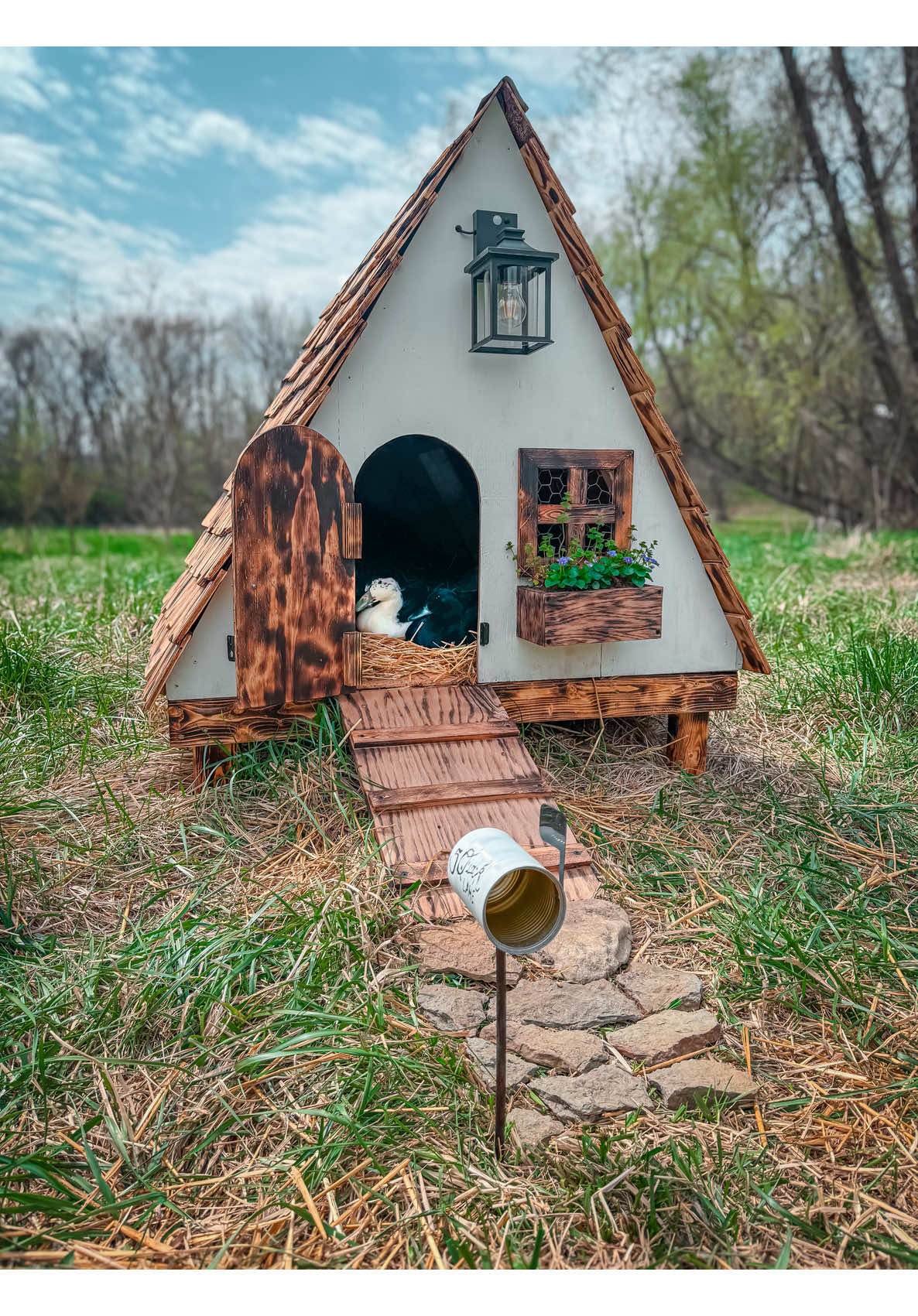This week the girls moved into the Quack Shack, a little cottage on the edge of the garden with the pond as their backyard. • This is by far the most over the top thing we’ve ever built. Do ducks need a porch light and flower window box? Probably not. They also probably don’t need the mailbox I made out of a tin can and added a few days later. • But I needed a bit of whimsy in a series of weeks that have otherwise been difficult (anyone else?), and so the Quack Shack was born. • And every time I look at it, I remember there are people just like me all over the world, finding whimsical ways to recapture joy in the midst of not so joyful chapters, and I feel better. • There is still beauty in the world, and hope, and love. • (That’s a bit of a heavy caption for a duck house, I suppose, but it’s built sturdily enough to hold the weight 😂) • What do you think of Pear, Plum, Peregrine, Periwinkle, and Pigwidgeon’s new little cottage in the garden?..... #ducklings #homesteadlife #cottagelife 