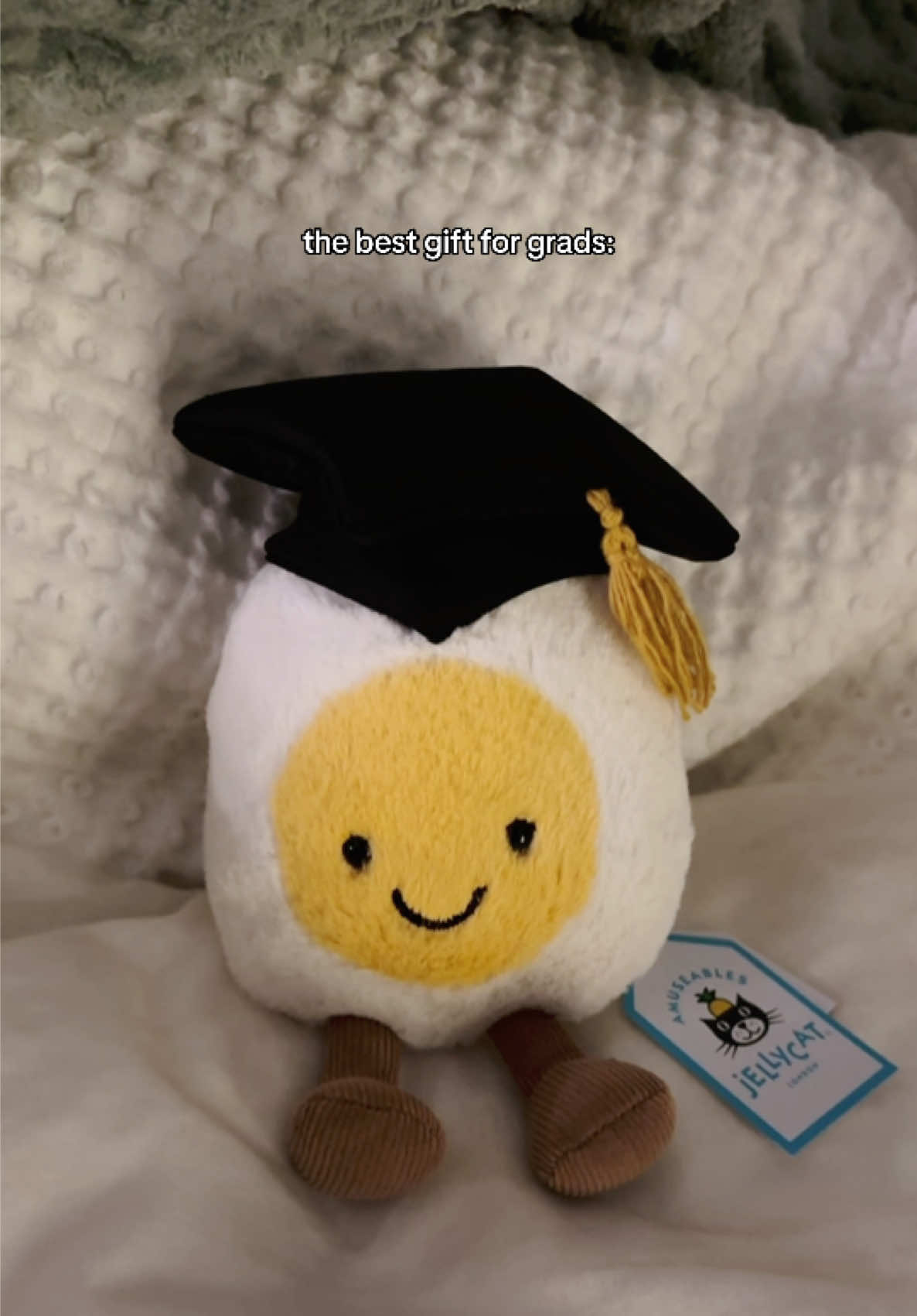 i love himmm #fyp #graduate #jellycat #classof2025 #senioryear #gradgift #girlthings 