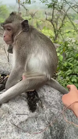Lil bro was hungry 