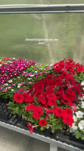 Flower shopping with my momma 