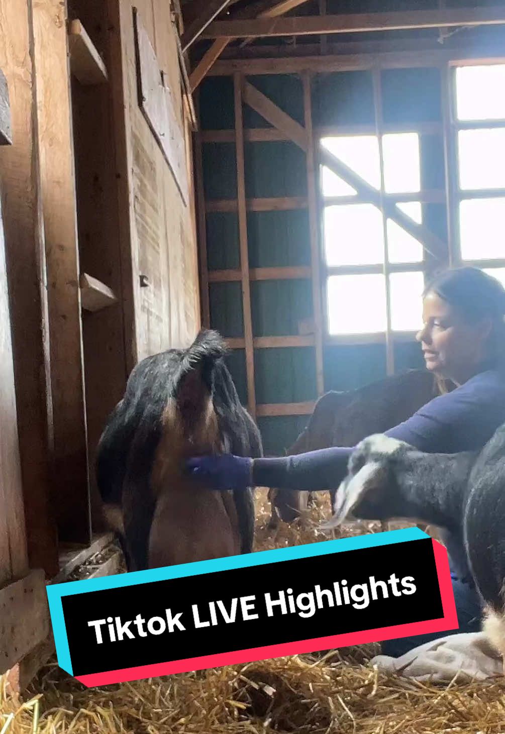 #LIVEhighlights #TikTokLIVE #LIVE #followus #fyp #foryou