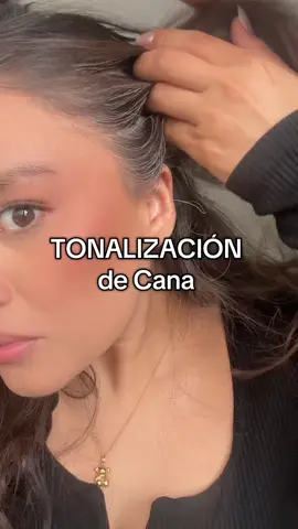 Mi primera vez hablando 🫠🫠🫠 ah no verdad! Este tip es súper bueno #tonalizaciondecabelllo #cana #estilista #salondebelleza #cuidadodelcabello #balayage #tipsandtricks #tipsdebelleza #queretaro 