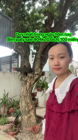#bimnguoigia #bimnguoilon 