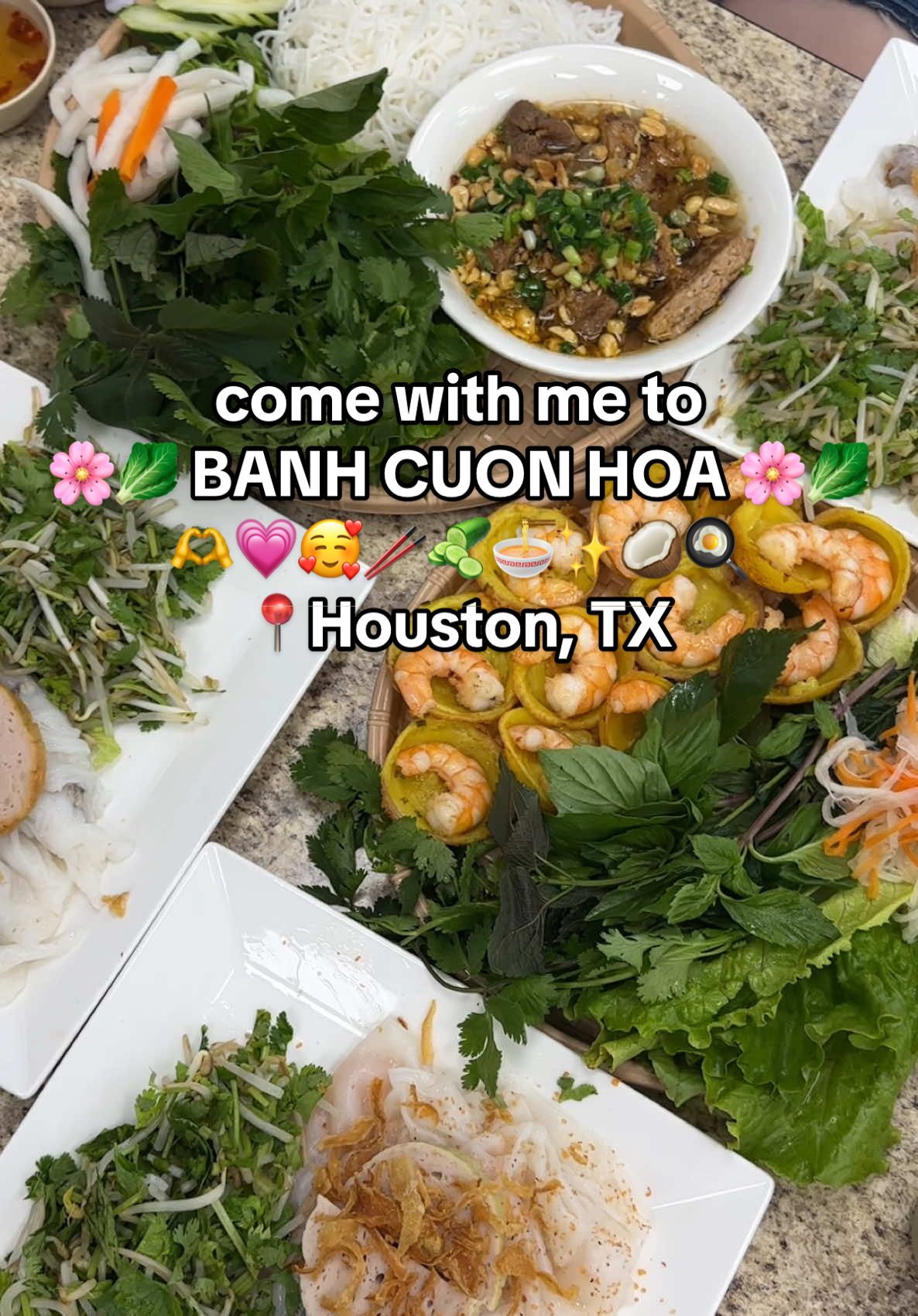🍚🥬 BANH CUON HOA 🥬🍚 is one of my go-to Vietnamese restaurants in Houston! They offer a variety of Vietnamese dishes from banh cuon, banh khot, bun, and so much more! I always come here with my family and it hits every single time 🤤💗 every time I’m here, I HAVE to order the banh khot — I love how crispy it is and how you can taste the coconut flavor! Also, even though I didn’t order it this day, I have to give an honorable mention to the bo ne — the bo ne from this place is 10/10! 🫶 If you’re ever looking to try authentic Vietnamese food that isn’t pho — definitely be sure to aave this post and check out Banh Cuon Hoa! 🥰🍚🫶 📍11169 Beechnut St. Houston, TX #explore #explorepage #trending #houston #htx #houstontx #thingstodohouston #placestogohouston #houstoninfluencer #houstonfoodblogger #houstonvlogger #houstonfoodie #houstonplacestogo #houstonfoodspots #houstonvietnamesefood #houstonvietfood #houstonvietnameserestaurant #houstonvietspot #asianfood #houstonchinatown #houstonbellairefoodspots #houstonchinatownfoodspots #houstonasianfood #houstonasianrestaurant #banhcuon #banhuot #banhkhot #vietnamesepancake #vietnamesefood #authenticvietfood 