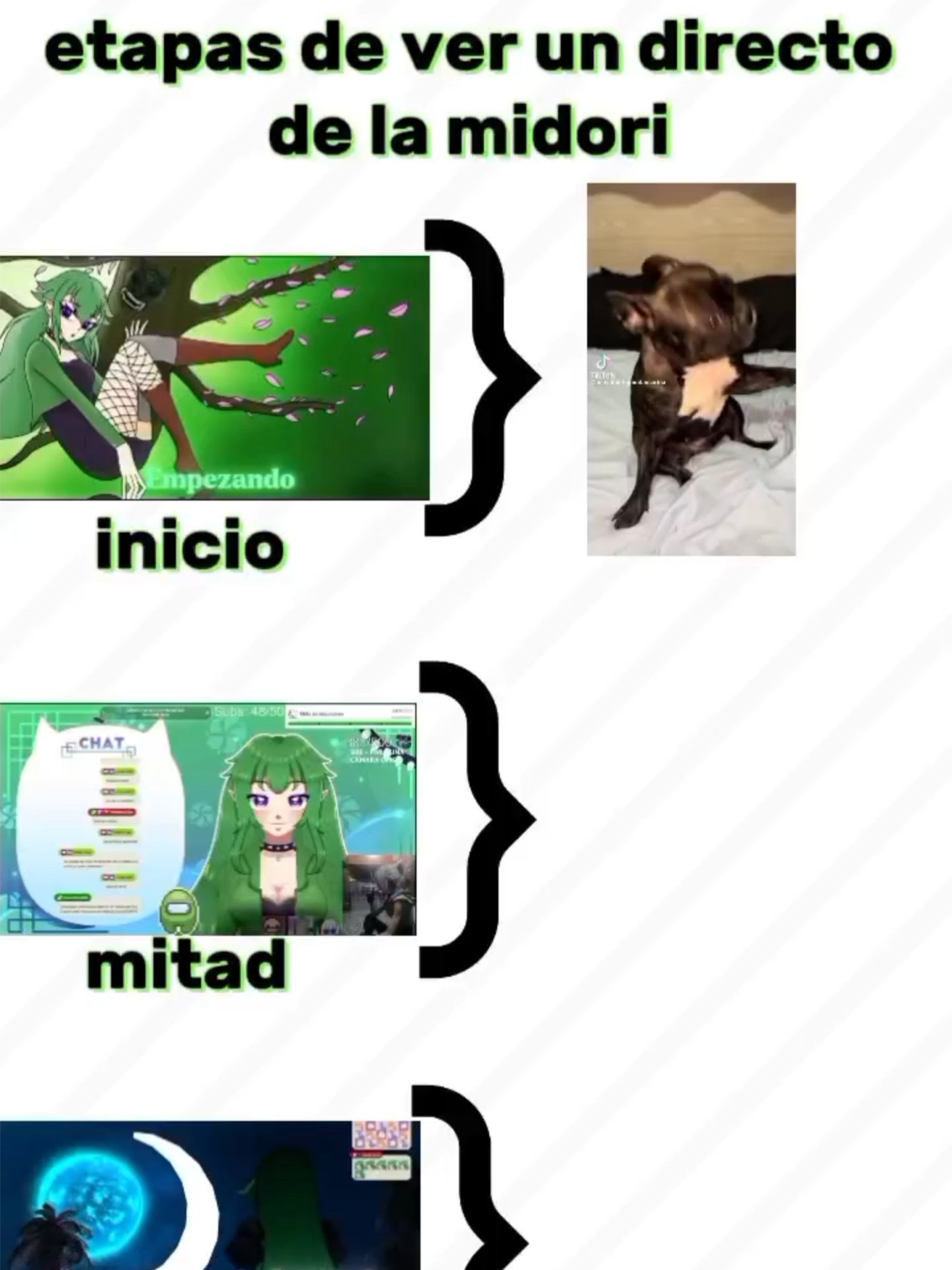 Etapas de ver mis directos #fyp #fypシ゚ #paratii #paratiiiiiiiiiiiiiiiiiiiiiiiiiiiiiii #memestiktok #funny #cachorro #badbunny #etapas #stream #clips #vtuber #MidoriOni cr: smail370