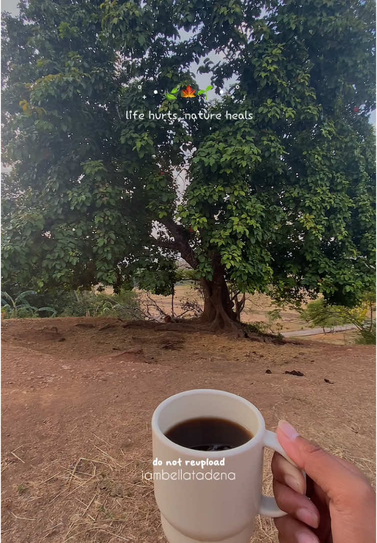 Goodmorning ☕️🍃🌱 #CapCut #nature #natureview #morningcoffee #coffee #fyp #foryou #view #ilocosnorte #caimitotree #starapple 