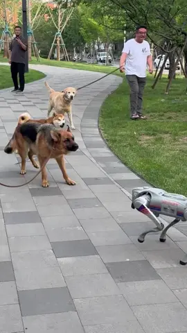 #mechanical dog