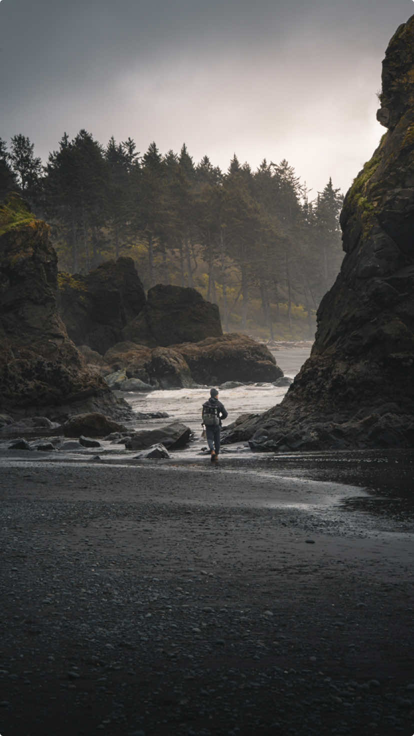 The nostalgia of this road trip 🖤 Send this to someone you want to go on an Olympic road trip with 🌲🌧️ Spots you can’t miss: Sol Duc Falls Rialto Beach  Ruby Beach  Cape Flattery Lake Crescent  Hoh Rainforest  La Push Port Angeles  Forks  #forks #pnw #olympicnationalpark #pnwonderland #forestvibes #twilight #twilightvibes #forkswashington 