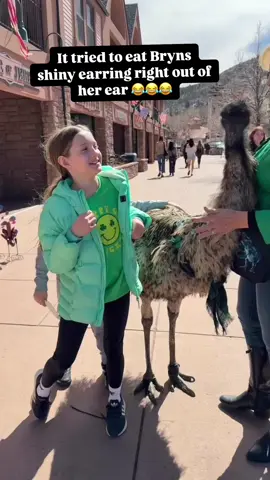 Road to 10k! Enjoy the Emu on a leash 🥴 hit all my buttons! #roadto10k #fyp #follow #emu #emuonaleash #funny #colorado #silly #followme 