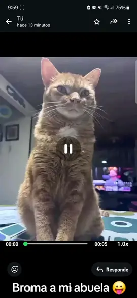 Bromita a mi abuela 😛 No sabe que es ia😭😭
