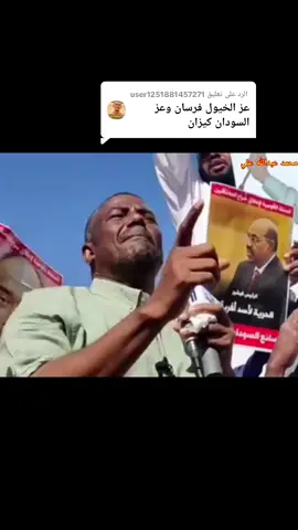 الرد على @user1251881457271 #القوات_المسلحة_السودانية🦅🇸🇩🦅  #جيشواحدشعبواحد💪❤ 