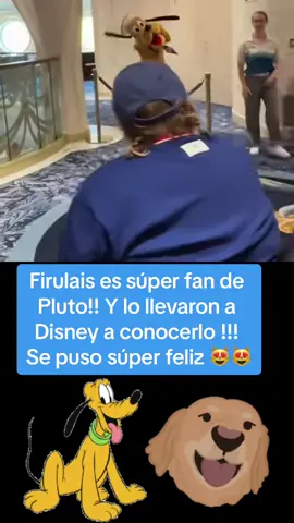 #perro #pluto #disney #dog #goldenretriever #felicidad #amor #Love #firulais #animales #animals #viral #fyp #parati