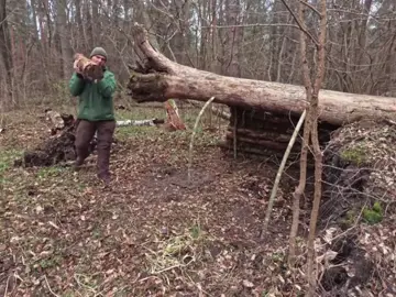 Camp overnight in a warm shelter built by fallen trees. #wilderness building #wilderness survival